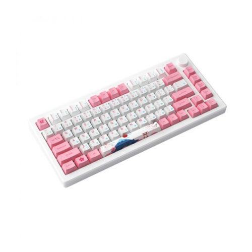 Bàn phím HE AKKO MOD007B PC Tokyo (8K USB-CMagnetic SwitchRapid Trigger)