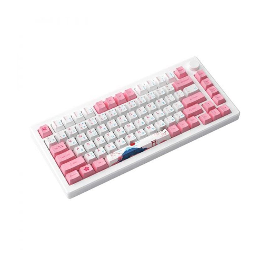 Bàn phím HE AKKO MOD007B PC Tokyo (8K USB-CMagnetic SwitchRapid Trigger)