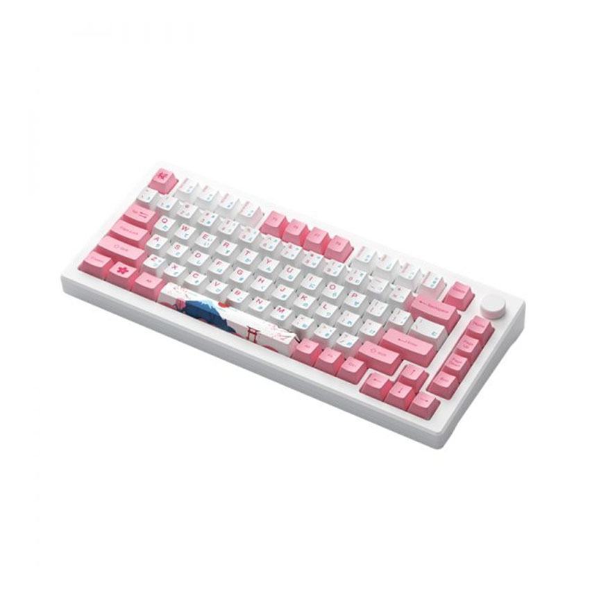 Bàn phím HE AKKO MOD007B PC Tokyo (8K USB-CMagnetic SwitchRapid Trigger)