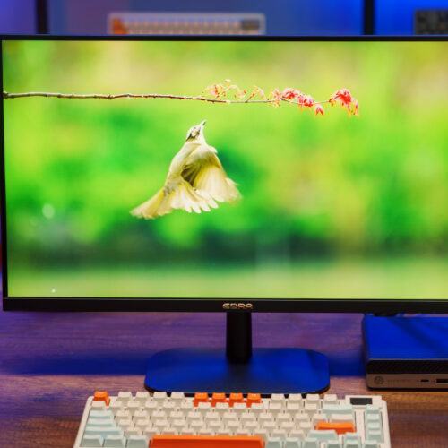 Màn hình Edra EGM25F180P