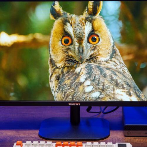 Màn hình Edra EGM25F180P