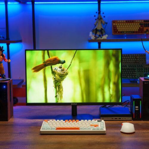 Màn hình Edra EGM25F180P