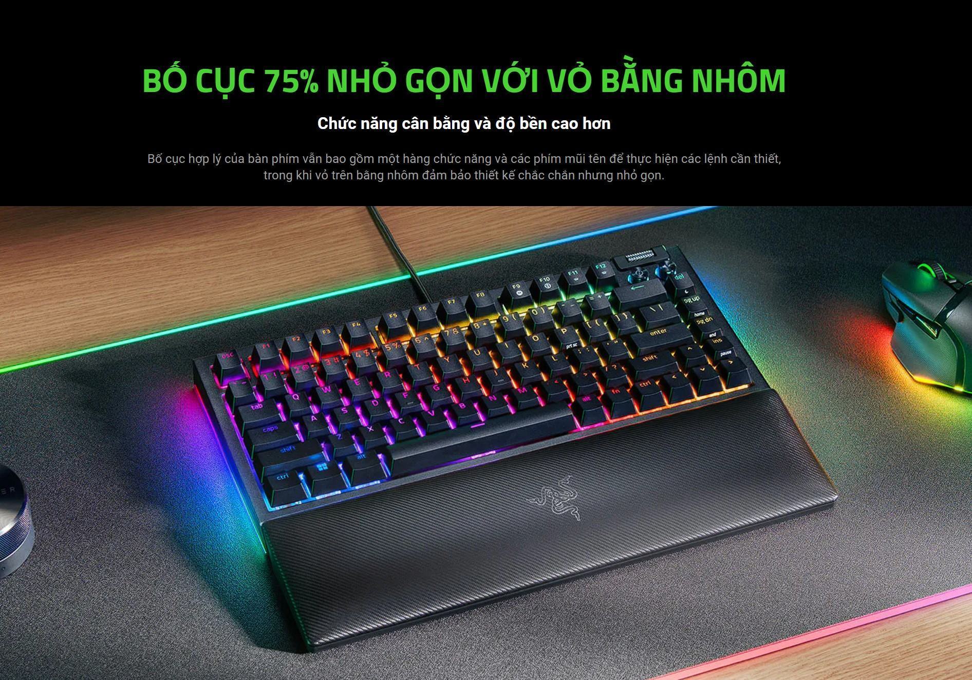 Bàn phím cơ có dây Razer BlackWidow V4 75% RGB