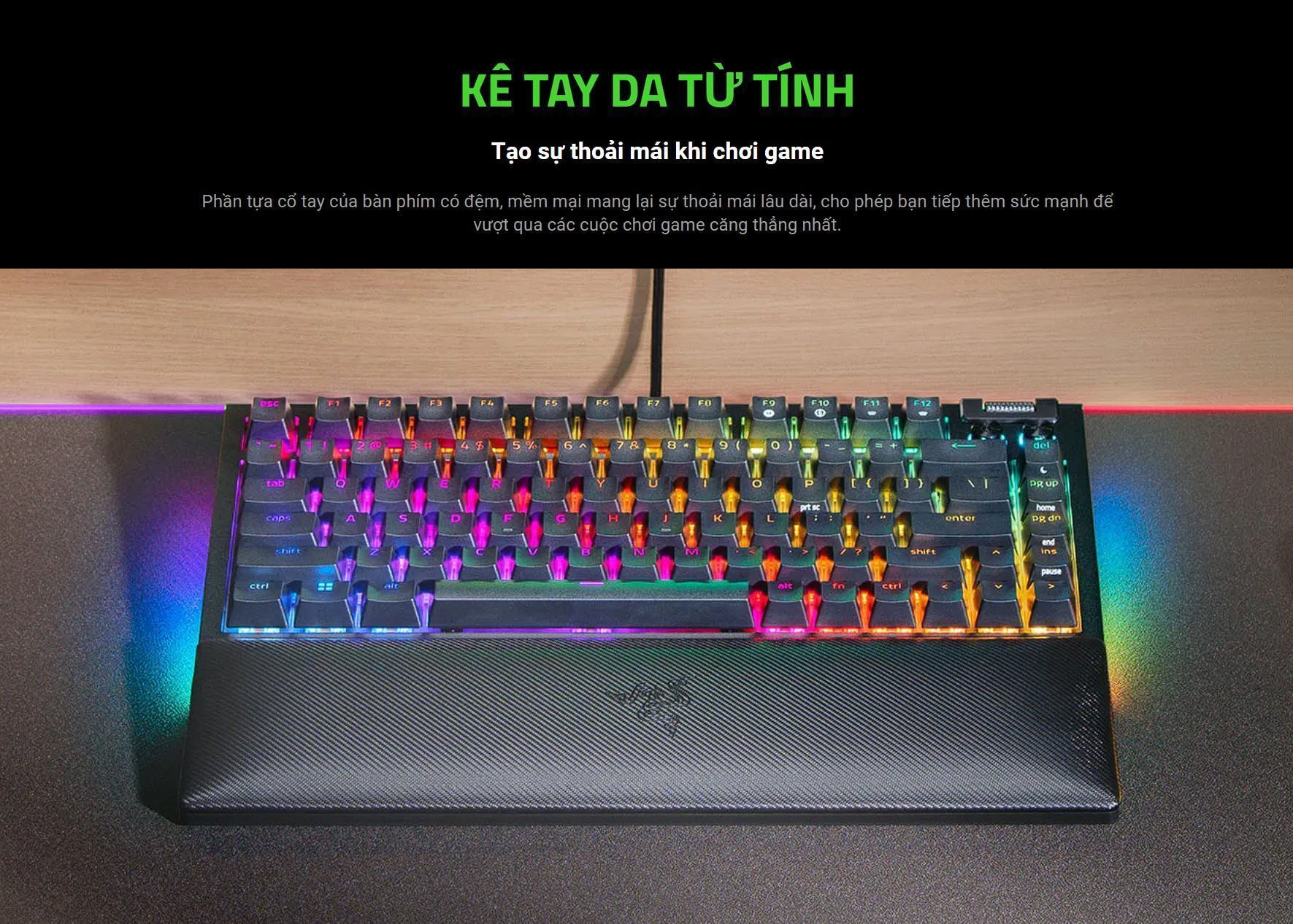 Bàn phím cơ có dây Razer BlackWidow V4 75% RGB