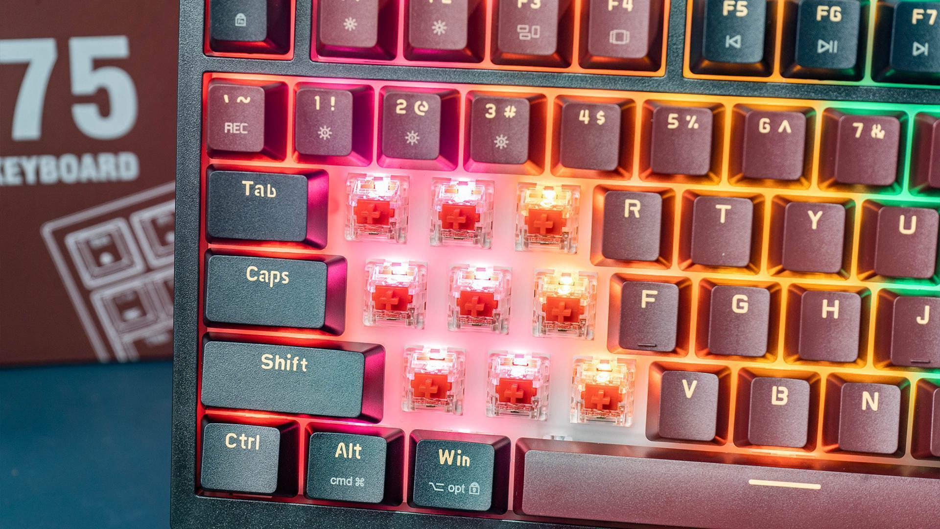 Bàn Phím Cơ Gaming Edra EK375 Alpha Blue Switch 2