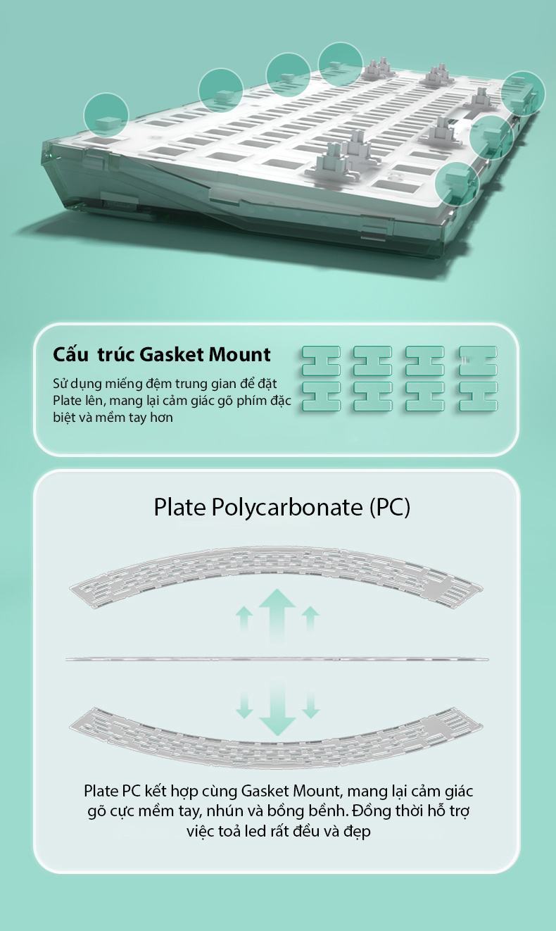 Bàn phím cơ Không dây FL-Esport Q75 Azure Green 3 Mode Coolmint sw (Kailh Box/USBC/Bluetooth/RGB) 4
