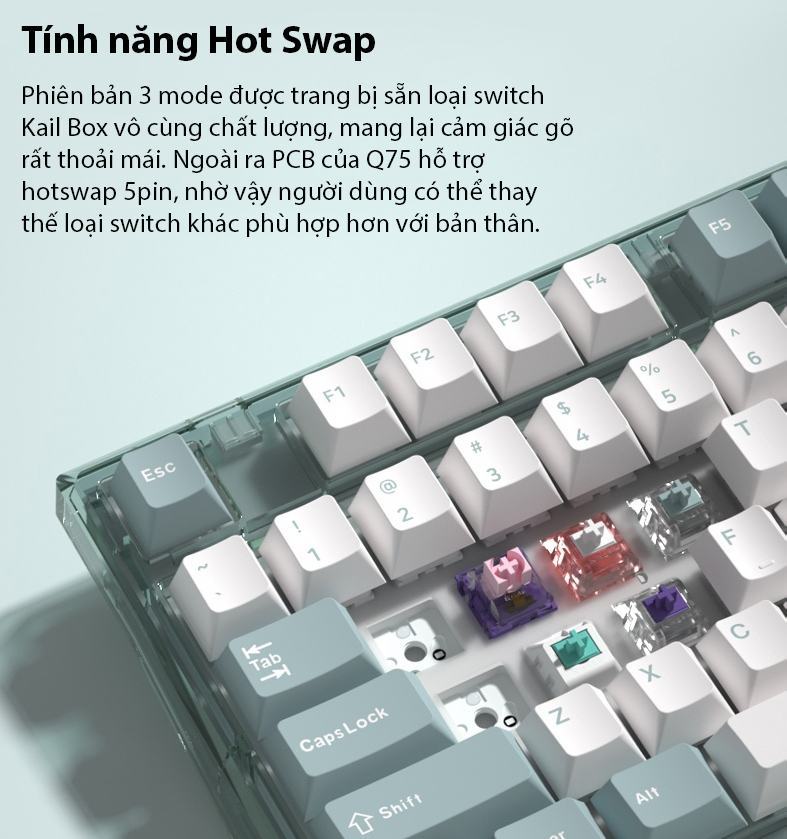 Bàn phím cơ Không dây FL-Esport Q75 Azure Green 3 Mode Rosa sw (Kailh Box/USBC/Bluetooth/RGB) 7
