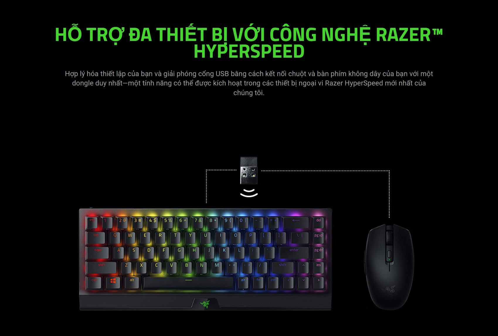 Bàn phím cơ không dây Razer BlackWidow V3 Mini HyperSpeed