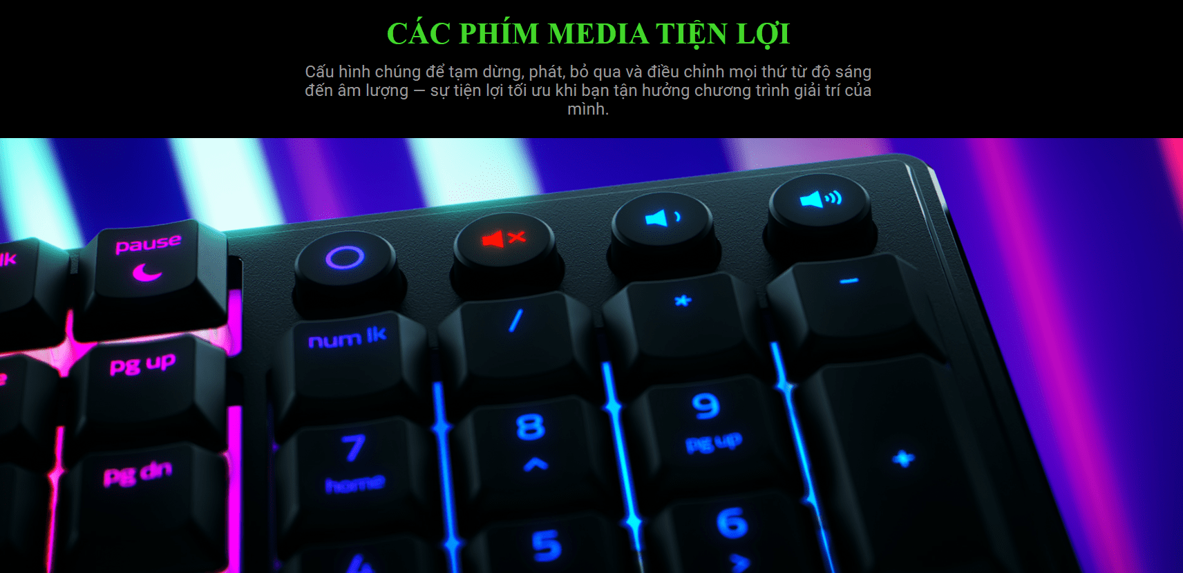 Bàn phím game Razer Ornata V3-Low Profile (USB/RGB) (RZ03-04460100-R3M1) 5