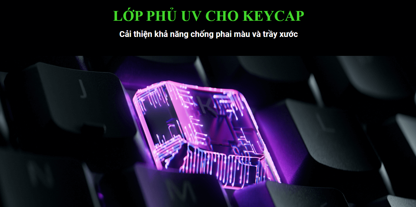 Razer Ornata V3 Tenkeyless 4