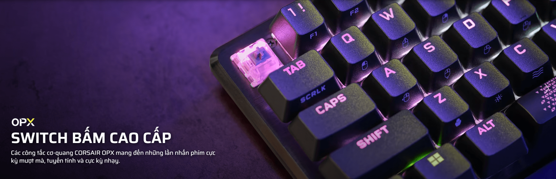 Bàn phím gaming Corsair K65 PRO MINI RGB OPX (CH-91A401A-NA) 5