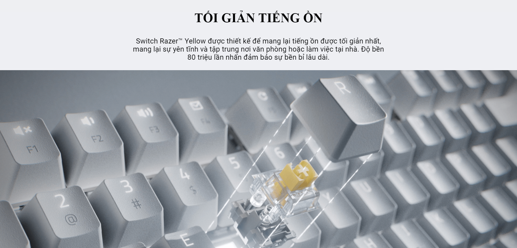 Bàn phím không dây Razer Pro Type Ultra Wireless Productivity (RZ03-04110100-R3M1) 3