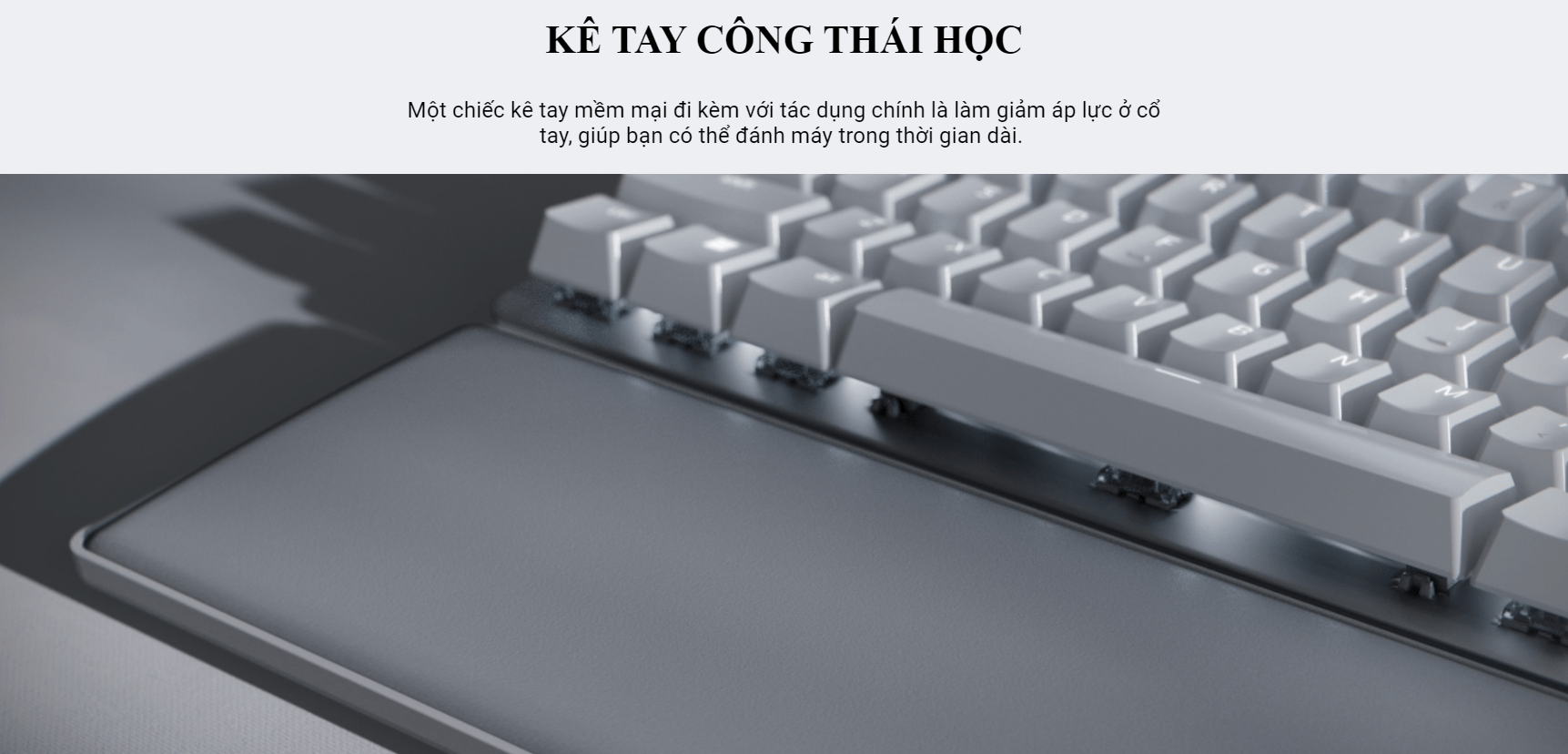 Bàn phím không dây Razer Pro Type Ultra Wireless Productivity (RZ03-04110100-R3M1) 5