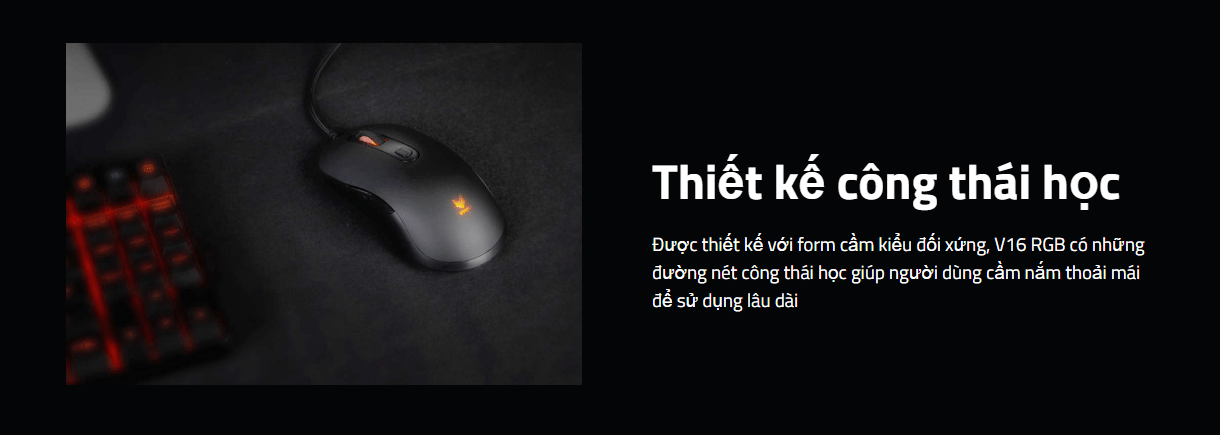 Chuột Gaming có dây Rapoo V16 RGB 1