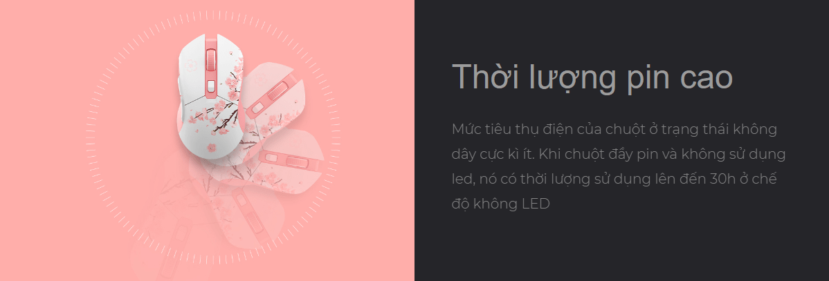 Chuột không dây Dareu EM901X RGB Blue White 6