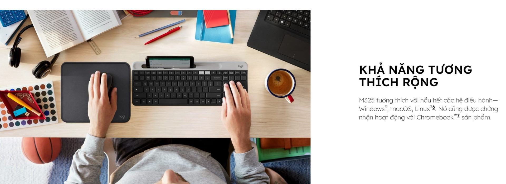 Chuột không dây Logitech M325 Wireless (USB/Đen Bạc)