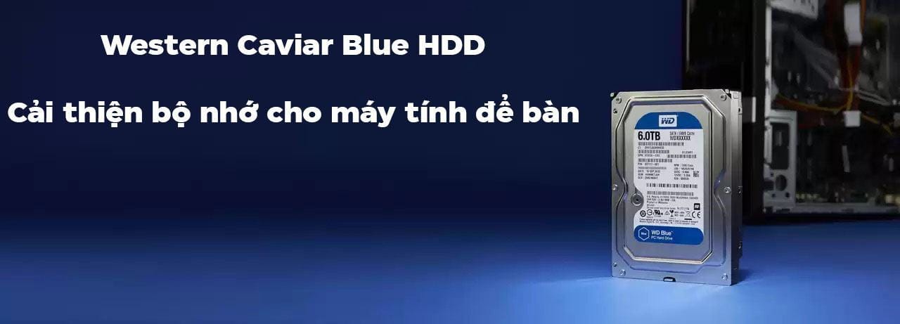 hdd-western-caviar-green-blue1-1 Ổ cứng HDD WD  Blue 3.5 inch