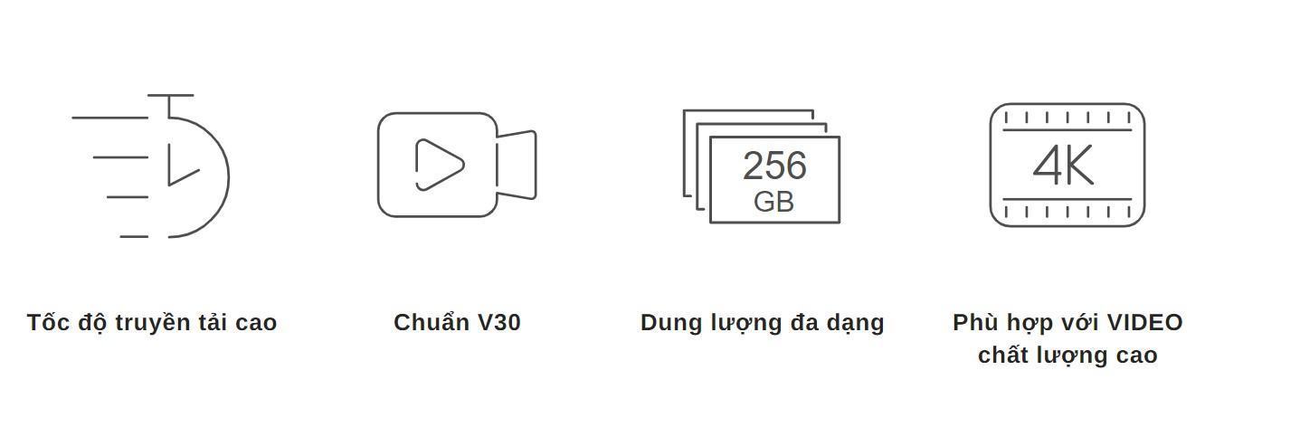 Thẻ nhớ Lexar SD card LEXAR 256GB_LSD0800256G-BNNNG