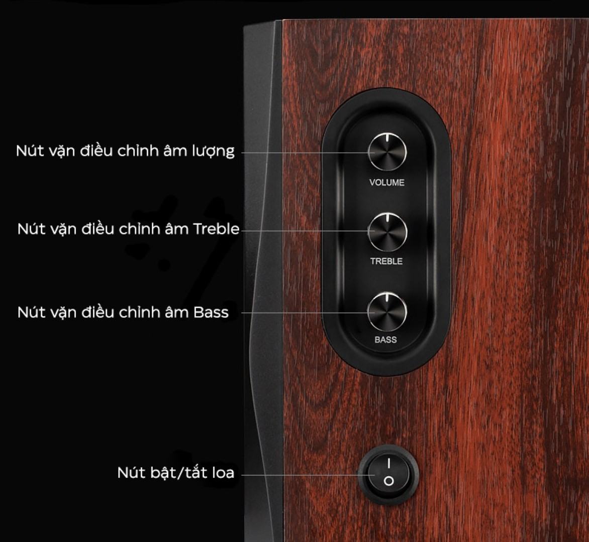 Loa HiVi Swan D1100 - Bản quốc tế - Màu nâu đậm