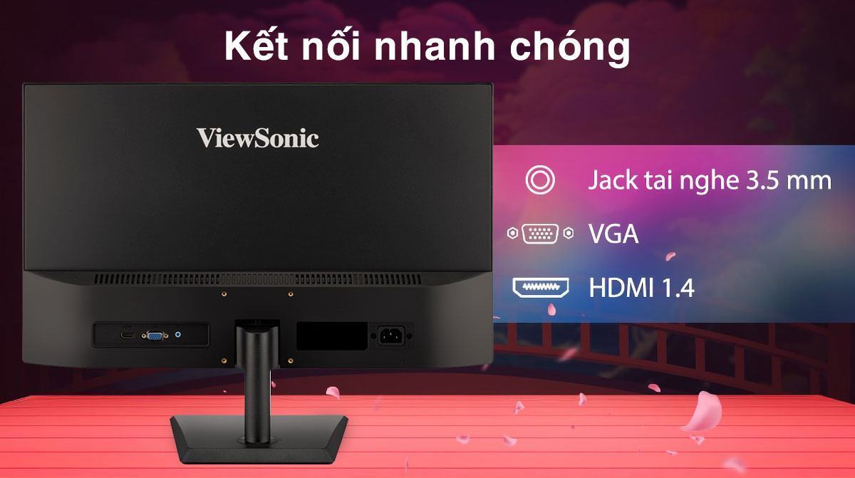 Cổng kết nối của màn hình Viewsonic VA2436-H