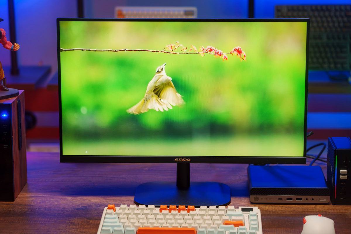 man-hinh-edra-egm25f180p-mo-ta-5 man hinh edra egm25f180p mo ta 5