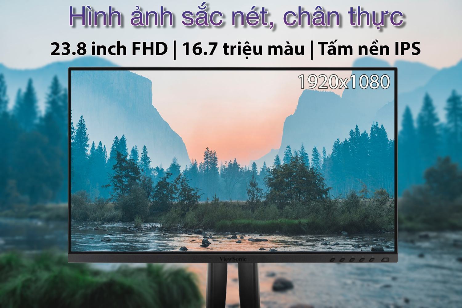 man hinh viewsonic vp2456 mota1