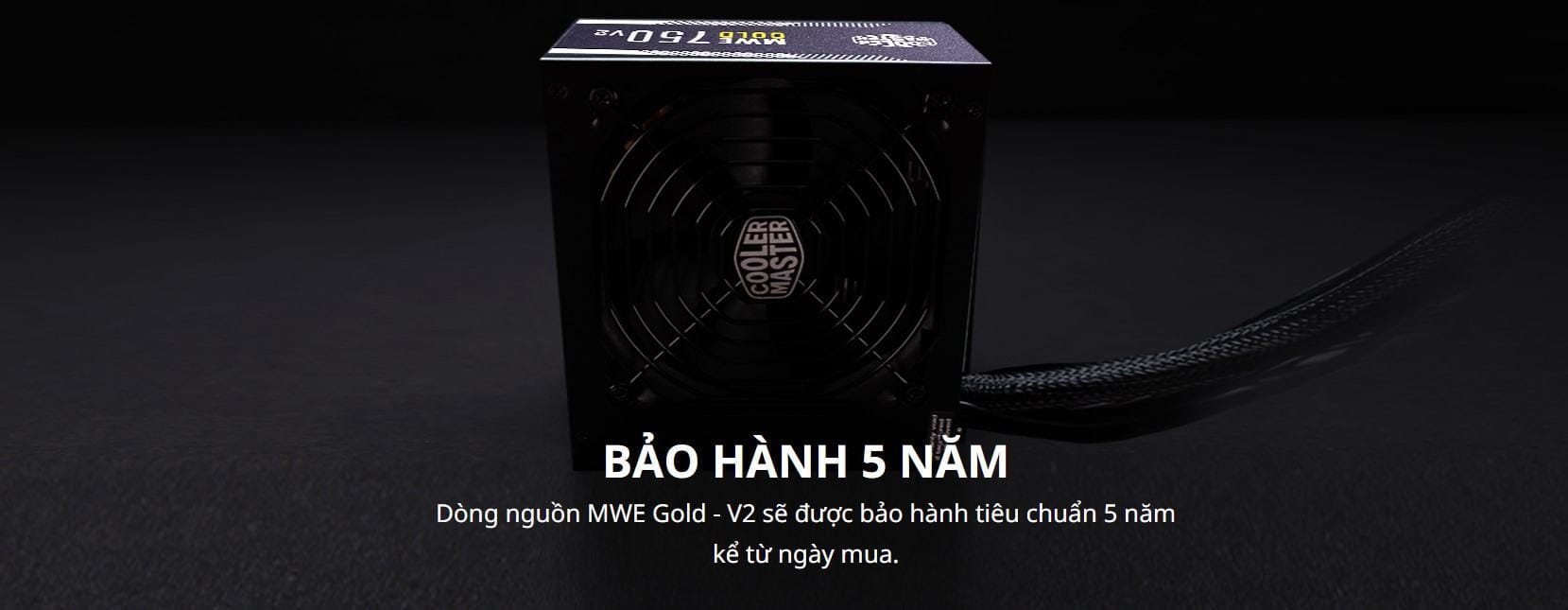 Nguồn máy tính Cooler Master MWE GOLD 750 - V2 750W ( 80 Plus Gold/Màu Đen/Full Modular)