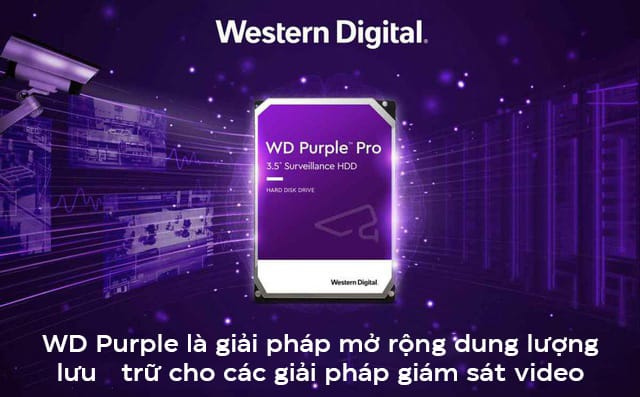 Ổ cứng HDD WD Purple Pro