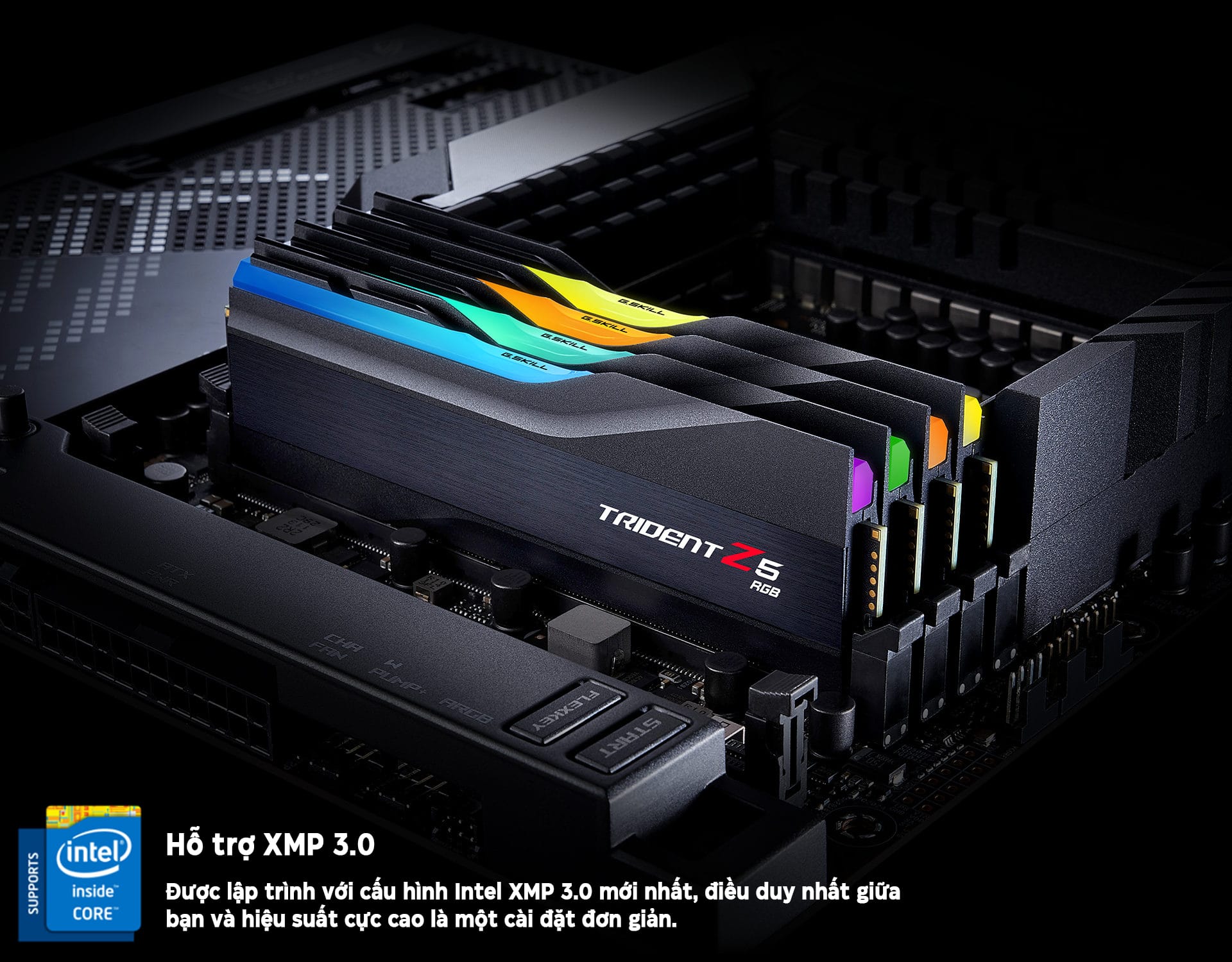 ram-desktop-gskill-trident-z5-rgb-motax3-12 Ram Desktop Gskill Trident Z5 RGB