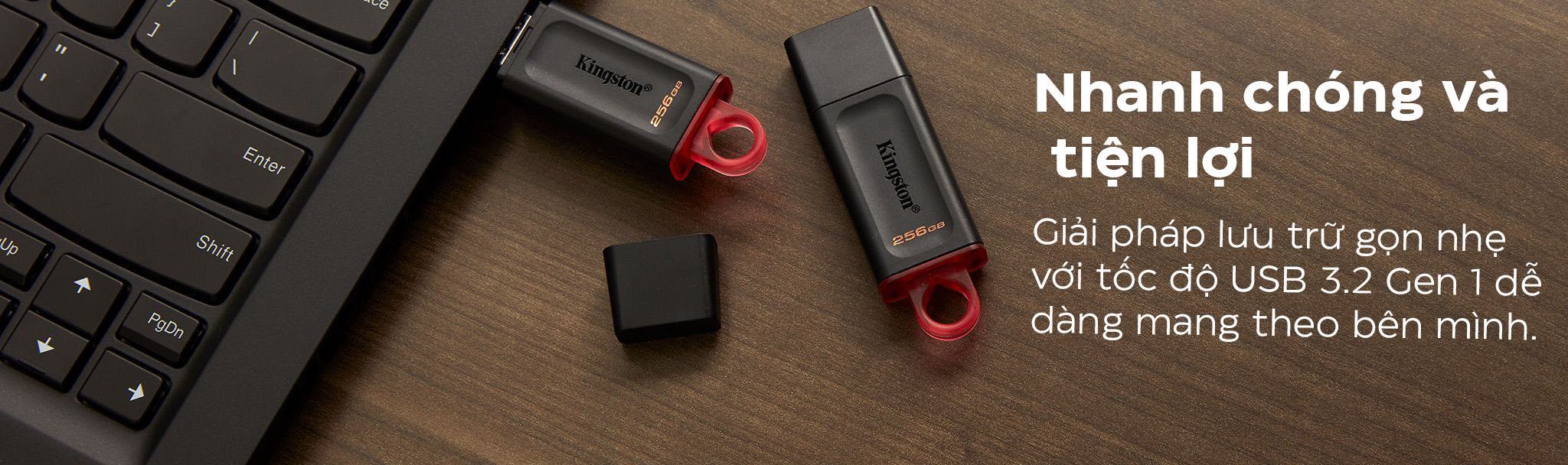 USB Kingston  DataTraveler Exodia DTX